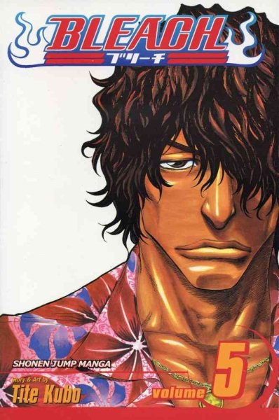 bleach Volume 5 cover