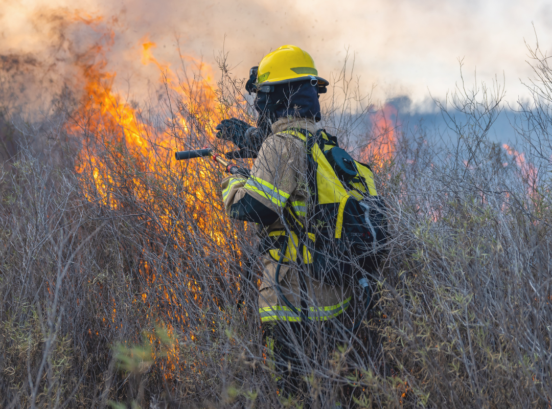 Firefighter fighting wildfire